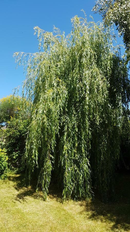 Liz'A Logis De Charme Βίλα Saint-Côme-de-Fresné Εξωτερικό φωτογραφία